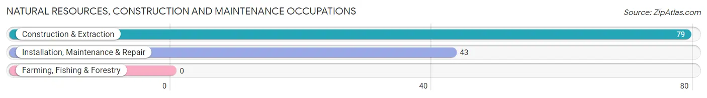 Natural Resources, Construction and Maintenance Occupations in Lake Tansi