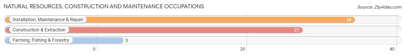 Natural Resources, Construction and Maintenance Occupations in Lakesite