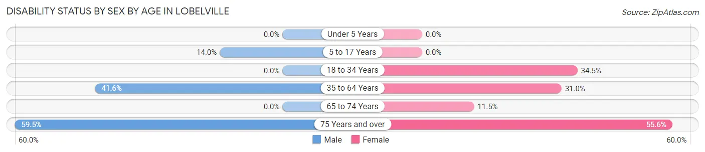 Disability Status by Sex by Age in Lobelville