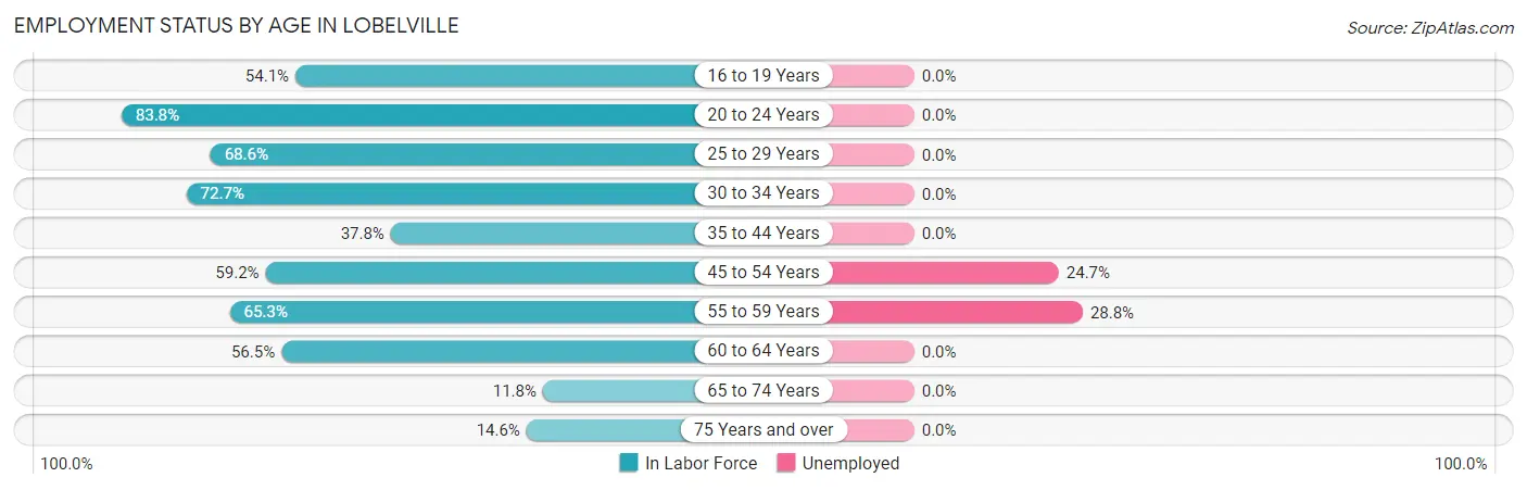 Employment Status by Age in Lobelville