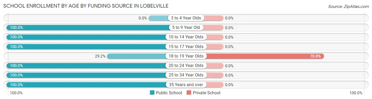 School Enrollment by Age by Funding Source in Lobelville