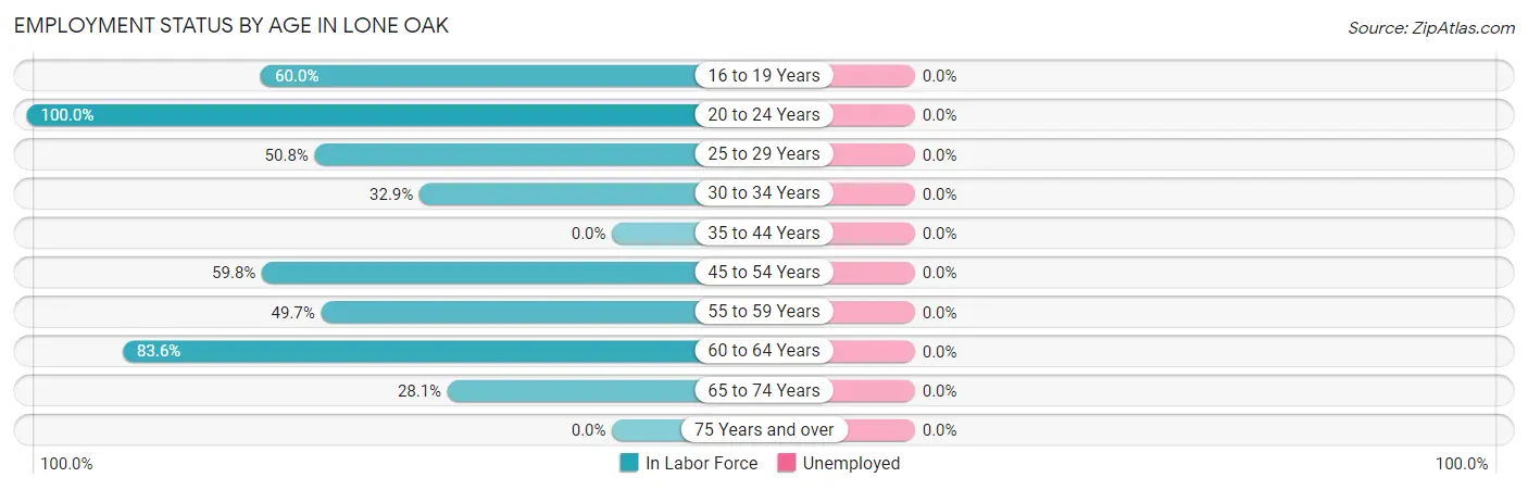 Employment Status by Age in Lone Oak