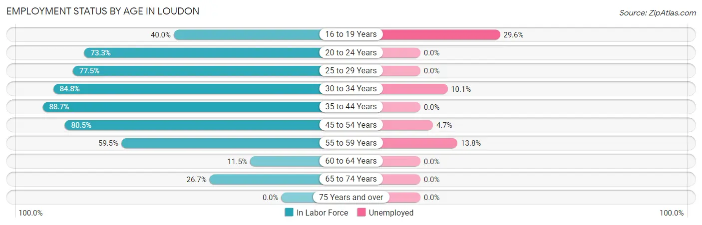 Employment Status by Age in Loudon