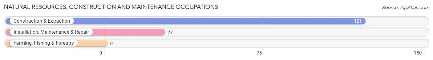 Natural Resources, Construction and Maintenance Occupations in Loudon