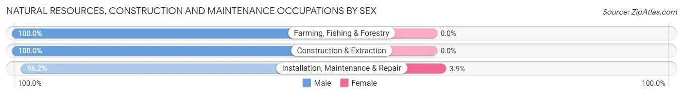 Natural Resources, Construction and Maintenance Occupations by Sex in Lynchburg