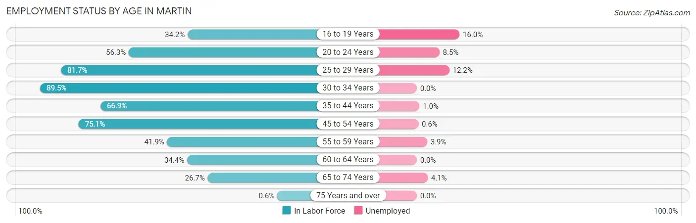 Employment Status by Age in Martin