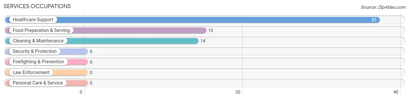 Services Occupations in Maury City