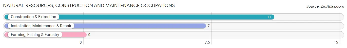 Natural Resources, Construction and Maintenance Occupations in McLemoresville