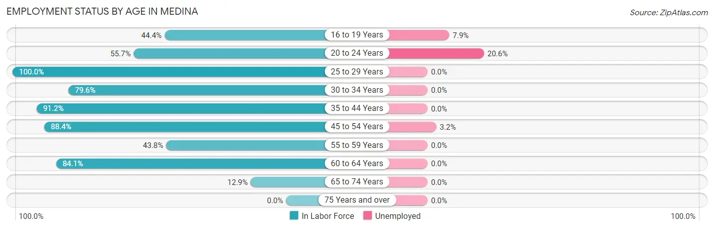 Employment Status by Age in Medina