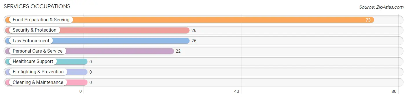 Services Occupations in Medina