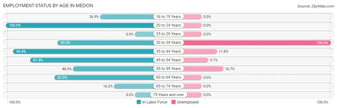Employment Status by Age in Medon