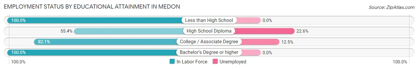 Employment Status by Educational Attainment in Medon