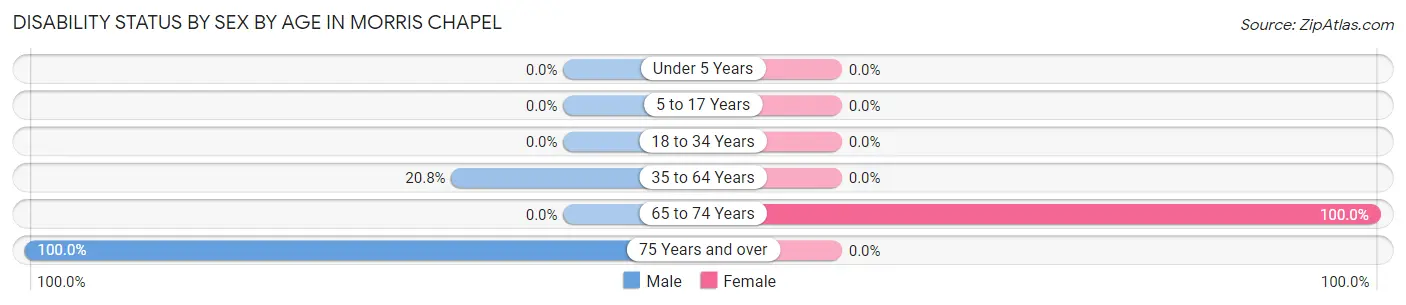 Disability Status by Sex by Age in Morris Chapel