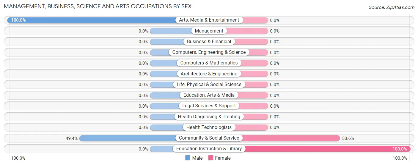 Management, Business, Science and Arts Occupations by Sex in Morris Chapel