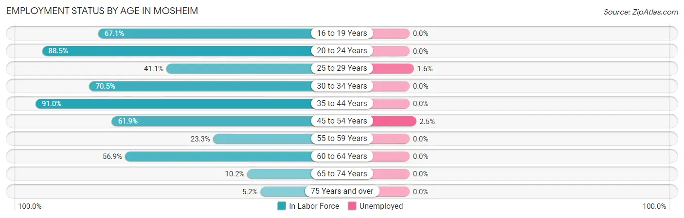 Employment Status by Age in Mosheim