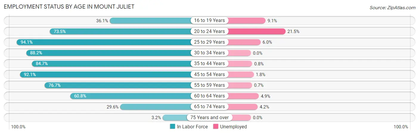 Employment Status by Age in Mount Juliet