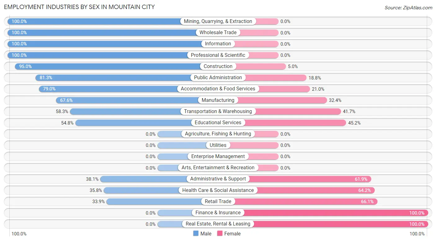 Employment Industries by Sex in Mountain City