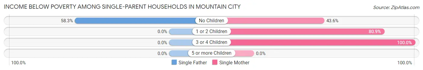 Income Below Poverty Among Single-Parent Households in Mountain City