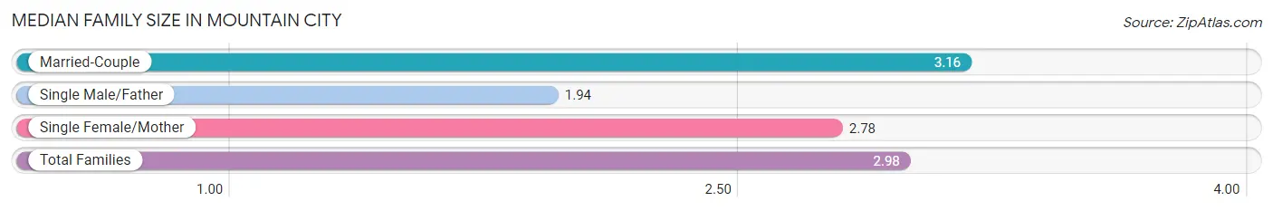 Median Family Size in Mountain City