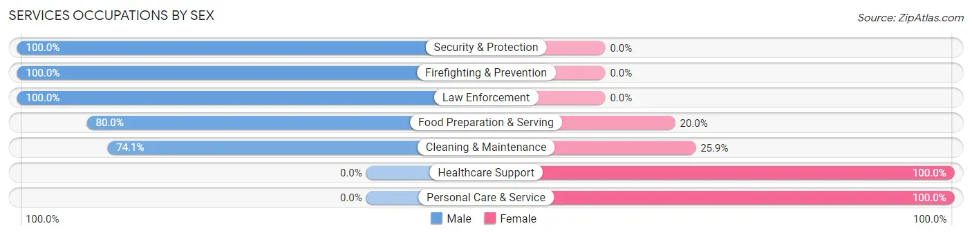 Services Occupations by Sex in Mountain City