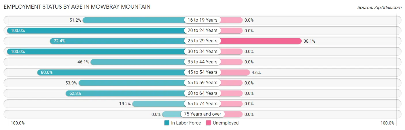 Employment Status by Age in Mowbray Mountain