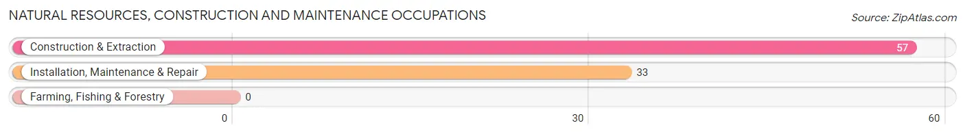 Natural Resources, Construction and Maintenance Occupations in Mowbray Mountain