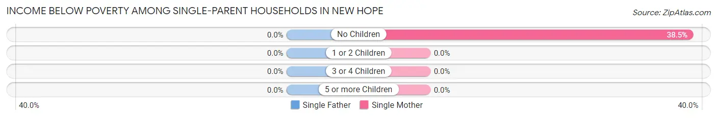 Income Below Poverty Among Single-Parent Households in New Hope