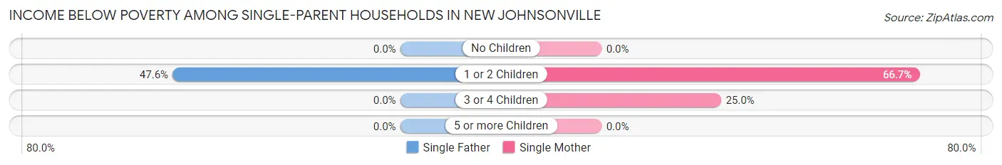 Income Below Poverty Among Single-Parent Households in New Johnsonville