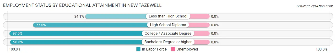 Employment Status by Educational Attainment in New Tazewell