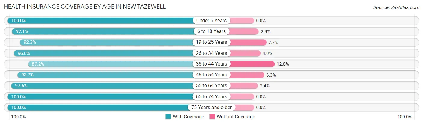 Health Insurance Coverage by Age in New Tazewell