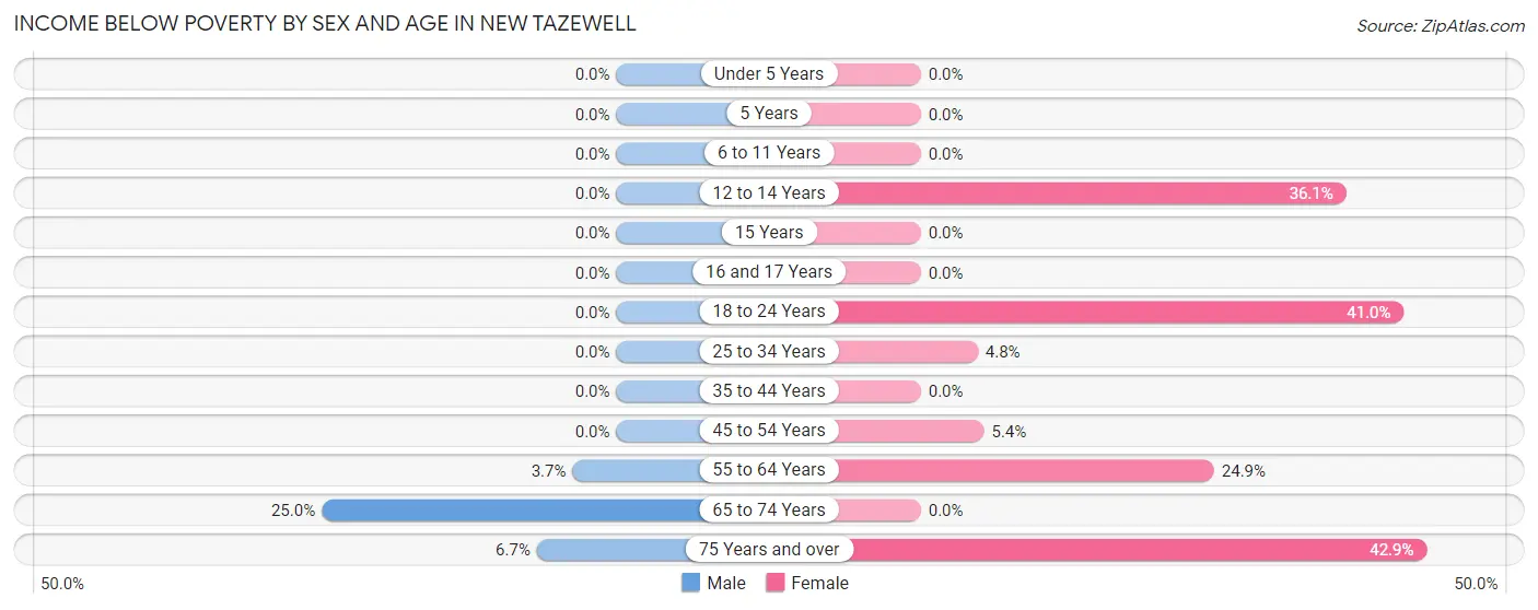 Income Below Poverty by Sex and Age in New Tazewell