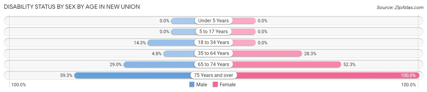 Disability Status by Sex by Age in New Union