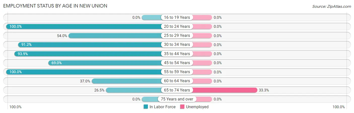 Employment Status by Age in New Union
