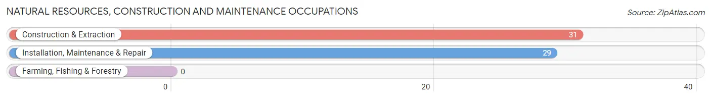 Natural Resources, Construction and Maintenance Occupations in Newbern