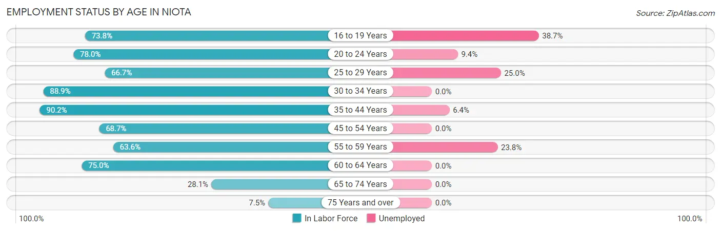 Employment Status by Age in Niota