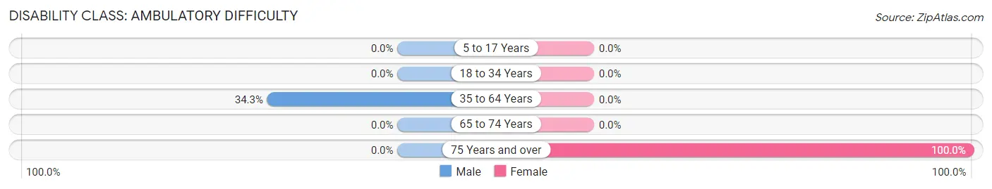 Disability in Nixon: <span>Ambulatory Difficulty</span>