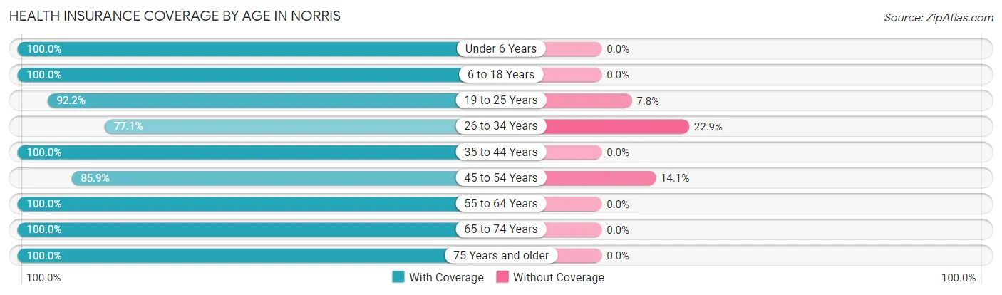 Health Insurance Coverage by Age in Norris