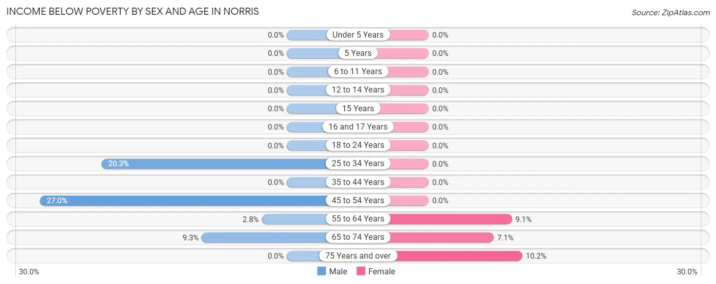 Income Below Poverty by Sex and Age in Norris