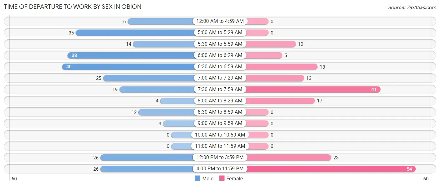 Time of Departure to Work by Sex in Obion