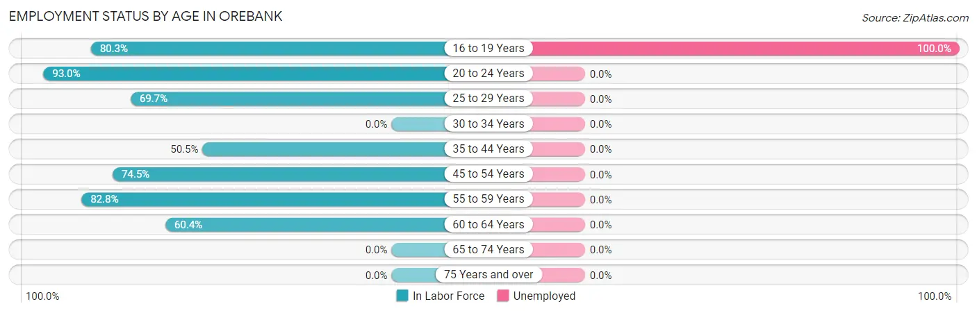 Employment Status by Age in Orebank