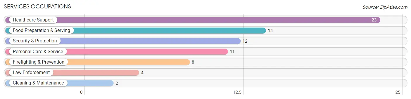 Services Occupations in Orlinda