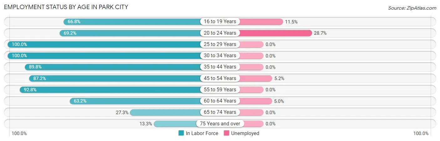 Employment Status by Age in Park City