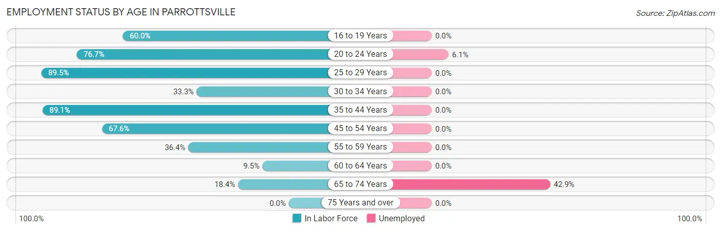 Employment Status by Age in Parrottsville