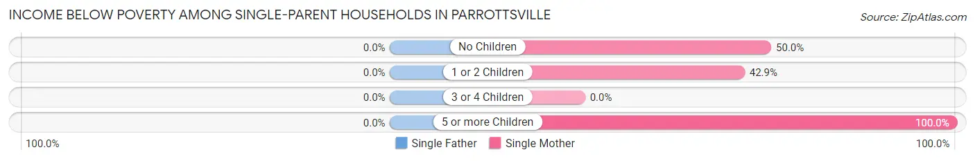 Income Below Poverty Among Single-Parent Households in Parrottsville
