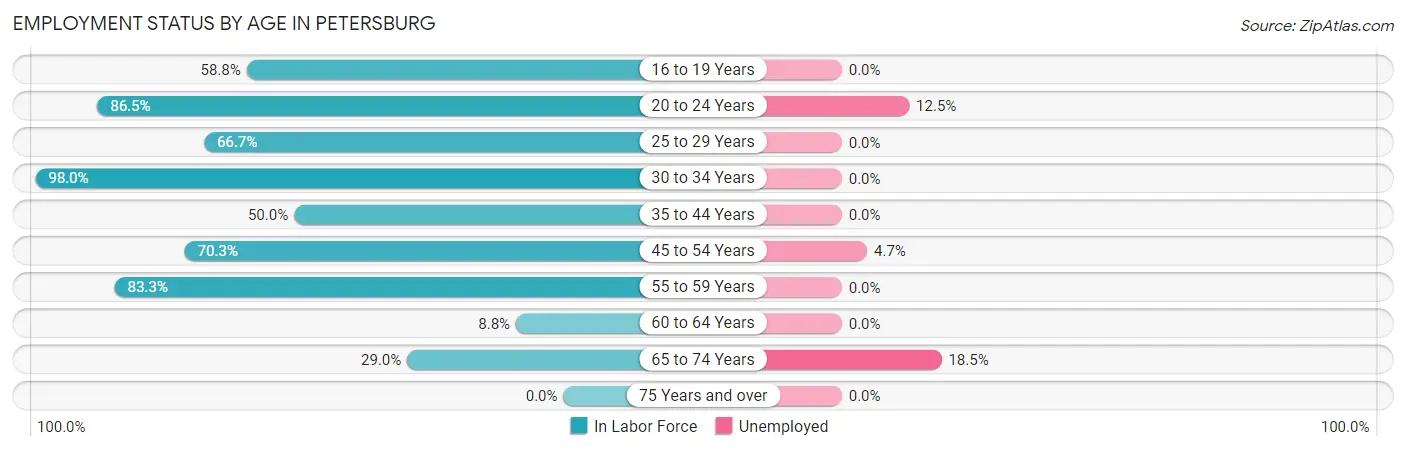 Employment Status by Age in Petersburg