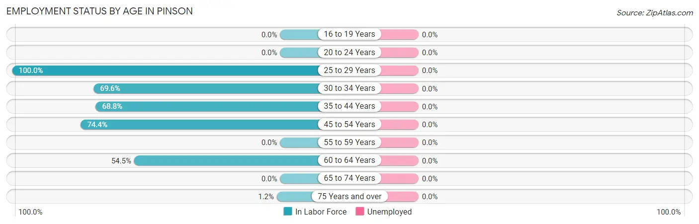 Employment Status by Age in Pinson