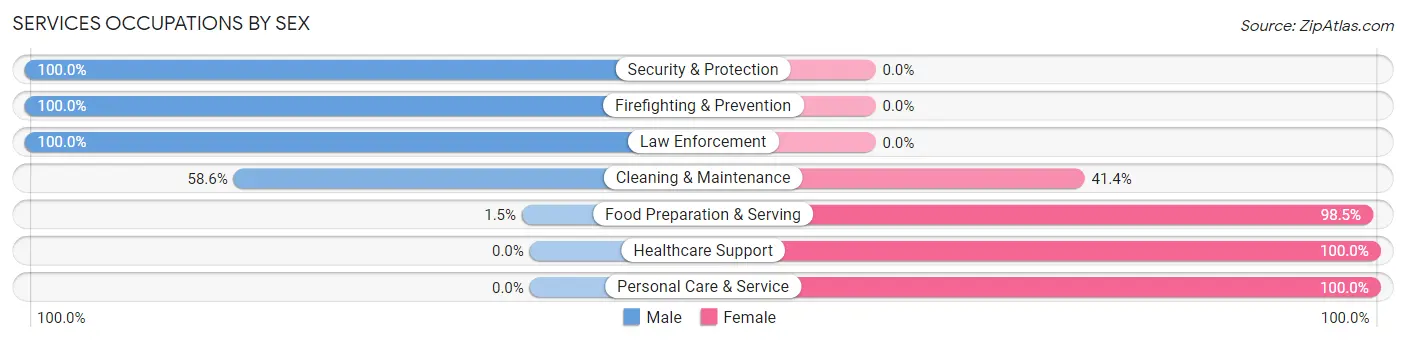 Services Occupations by Sex in Plainview