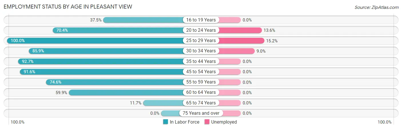 Employment Status by Age in Pleasant View