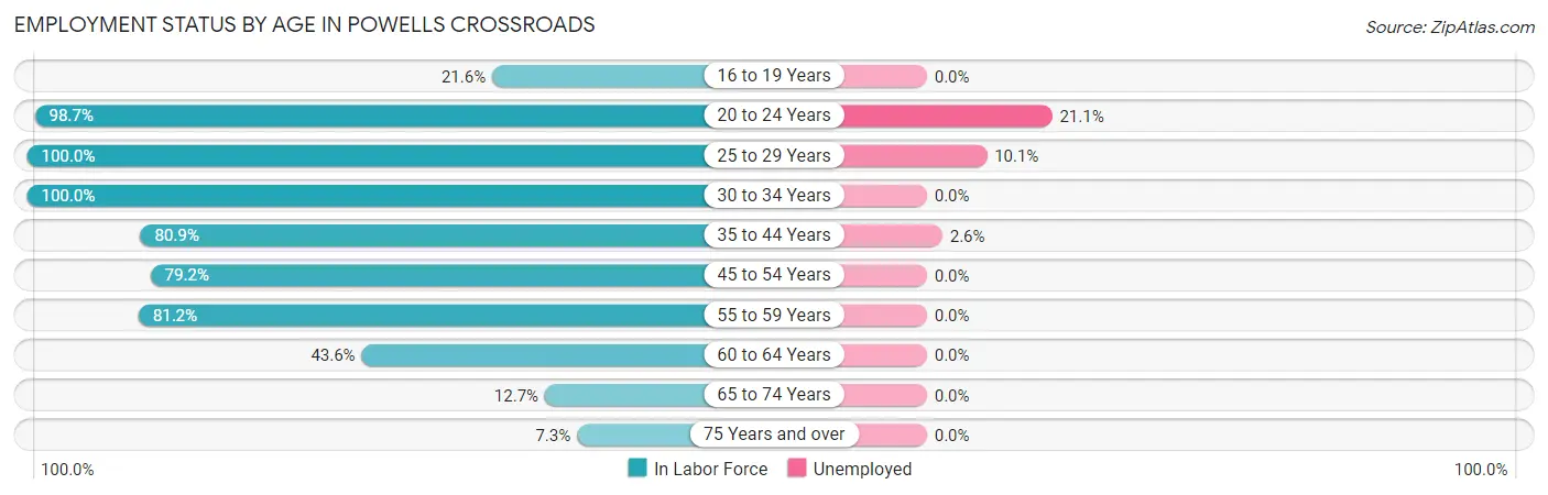 Employment Status by Age in Powells Crossroads