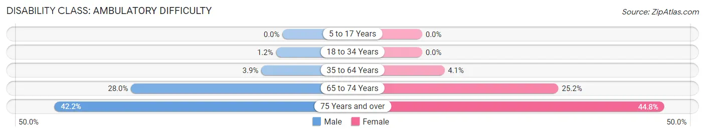 Disability in Pulaski: <span>Ambulatory Difficulty</span>